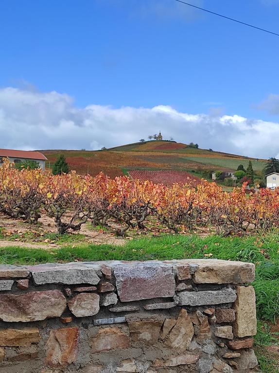 La Cazotte entre vignes et village - B&B Fleurie