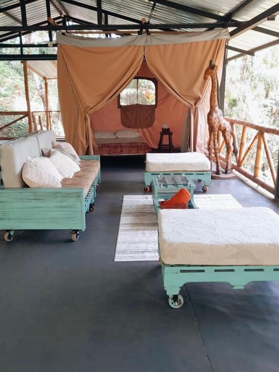 Ecocamping Amani - Bed and Breakfast Cali