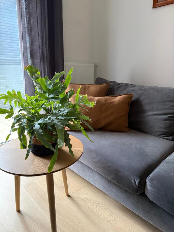Apartament Centro 63 z bezpłatnym garażem - B&B Torun