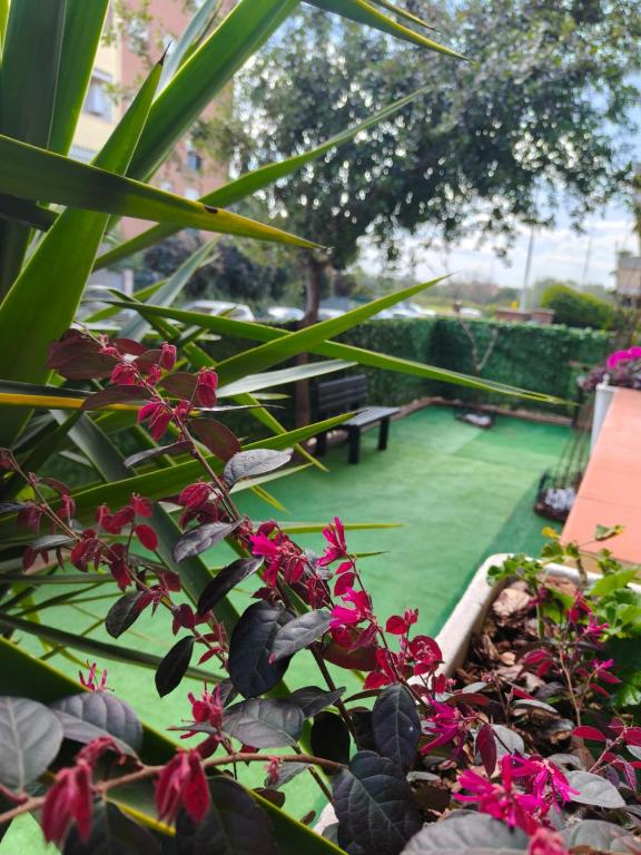 Gioia House Bilocale 4 posti letto 10 min dal mare - B&B Sassari