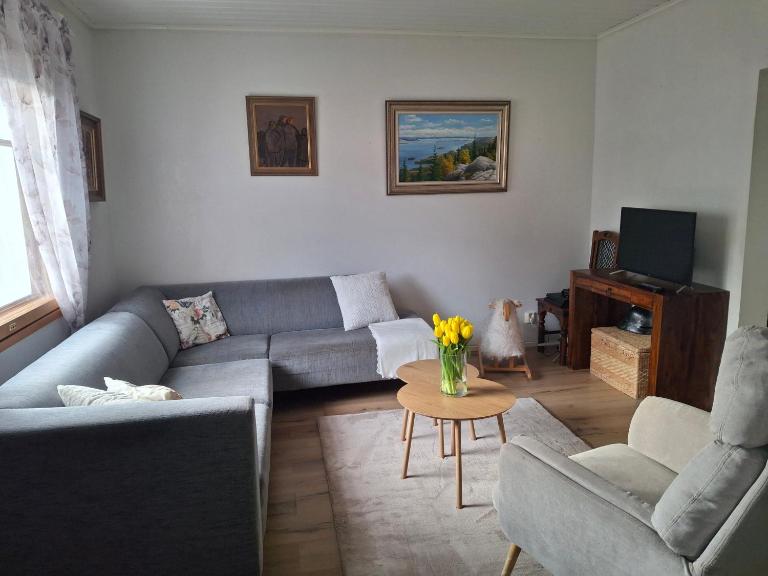 Viihtyisä ja tilava paritaloasunto hyvällä sijainnilla - B&B Hämeenlinna
