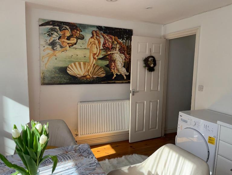 Stylish flat with parking close to many beautiful Cornish beaches - B&B Tuckingmill