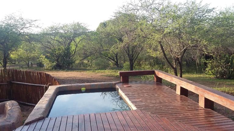 Marloth Kruger Whispering Ants - B&B Marloth Park