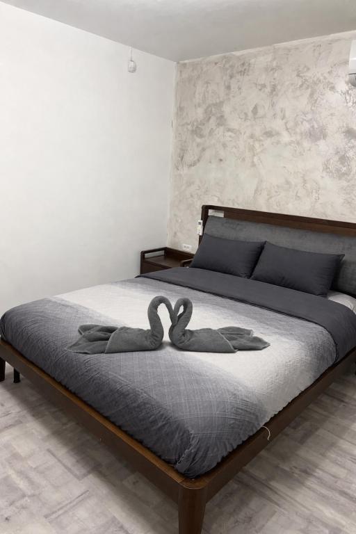 Academia Navala house - B&B Costanza