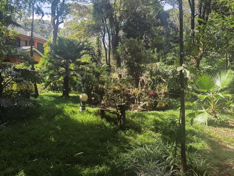 Kismet Hideaway - B&B Nairobi