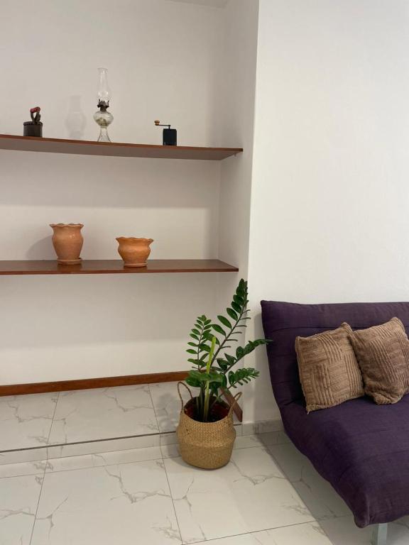 Apartamentos Andrade - Bed and Breakfast Espargos
