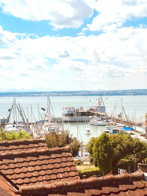 Seeloge mit Dachterrasse direkt am Westhafen in Hagnau am Bodensee - Ferienwohnung Hagnau