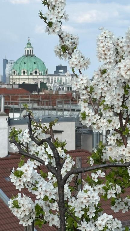 QuietCityViews - B&B Viena