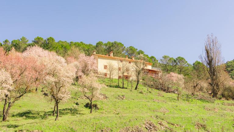 Casa Rural Mirabueno - B&B Cuenca