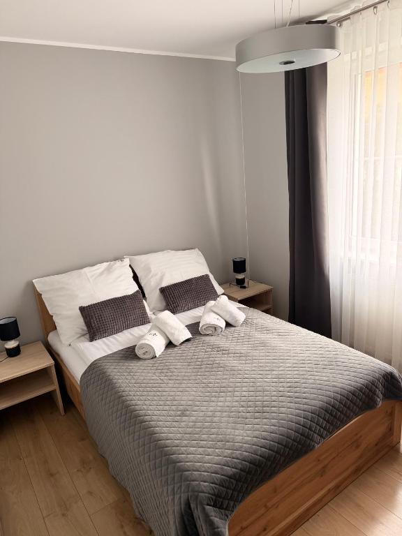 Apartament AB Villa Mountain View Szklarska Poręba - B&B Szklarska Poręba