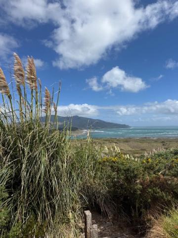 Rangitoto Retreat Raglan - B&B Te Akau