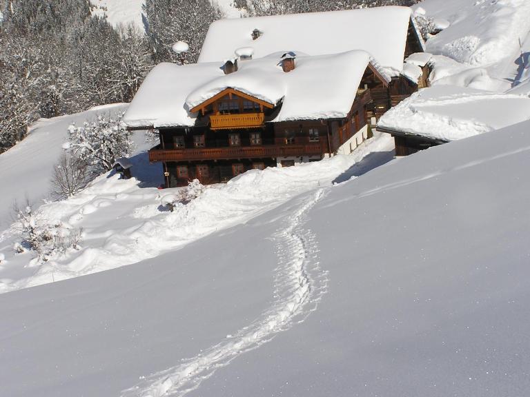 Bio-Bauernhof Nichlgut - Bed and Breakfast Eben im Pongau