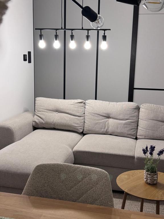 Modern Apartment in the Center of Żory - Ferienwohnung Sohrau