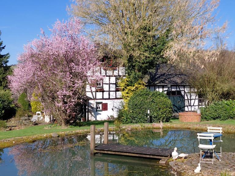 Historisches Fachwerkhaus aus dem 18 Jahrhundert - B&B Eulenberg