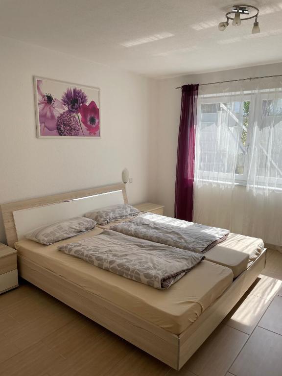 Beautiful and quit 2-room apartment Schmidt - Ferienwohnung Friedrichshafen