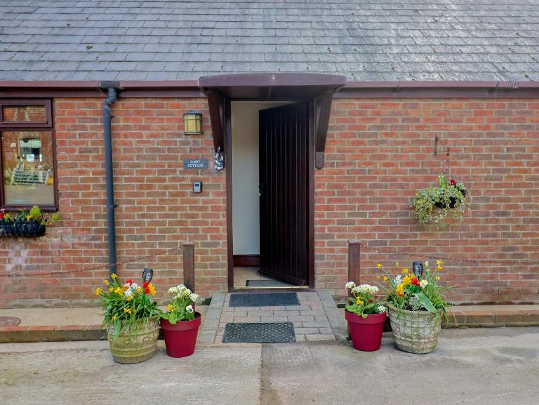 Daisy Cottage - B&B Bridport