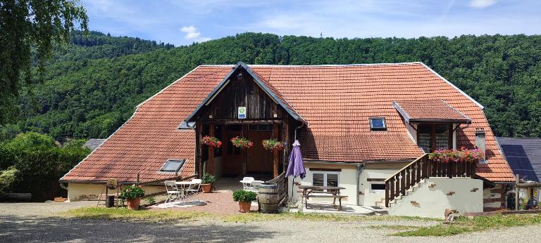 Gite la Prune Familiale - B&B Sainte-Marie-aux-Mines