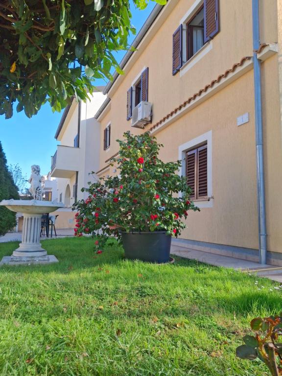 Apartments Arupinum - Ferienwohnung Rovinj