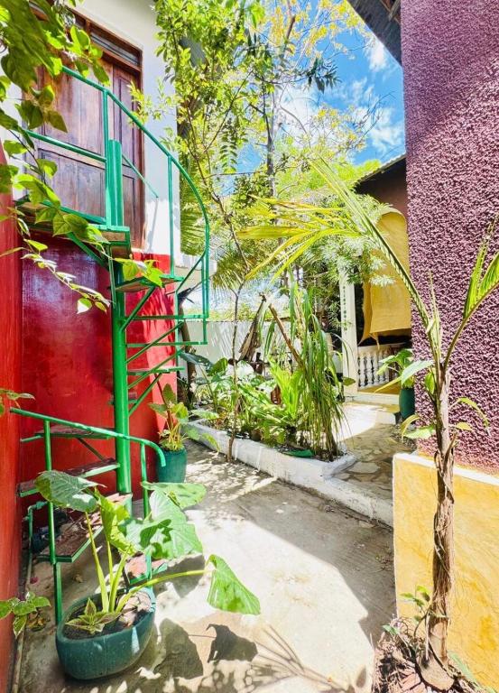 Rafiki Zanzibar Residence - B&B Paje