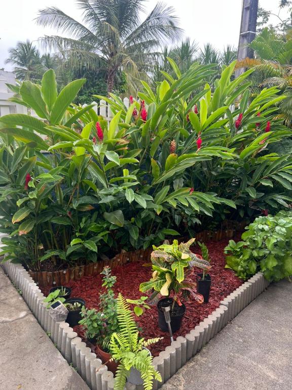 SOLEY City Break 13 - B&B Les Abymes