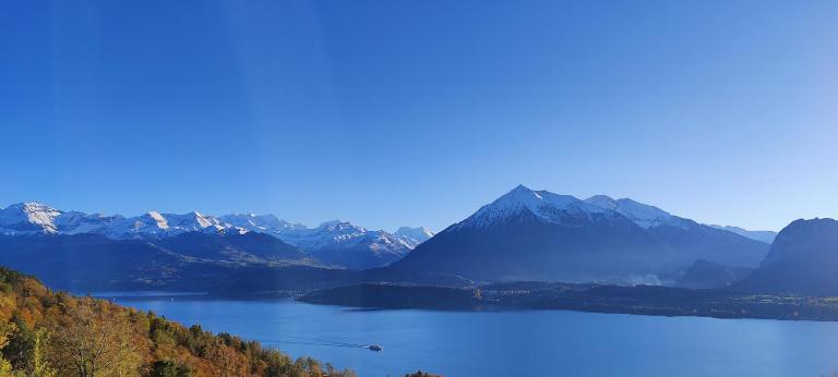 Panorama Ferienwohnung Luegisland - B&B Oberhofen