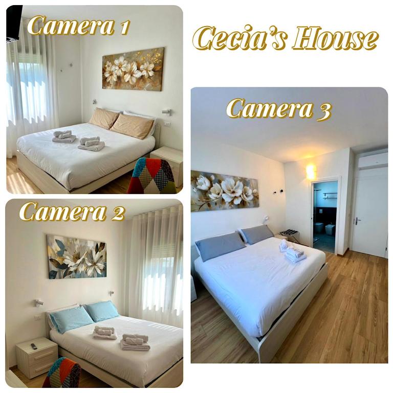 Cecia's House - B&B Bassano del Grappa