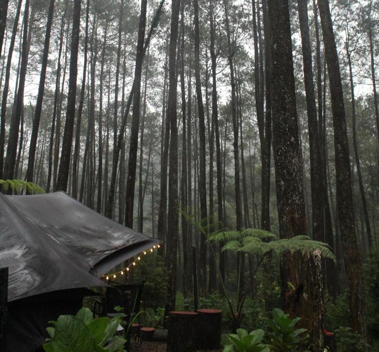 Lembah Pinus Cikole - Ferienwohnung Tangkubanperahu