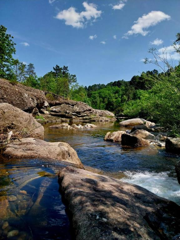 Le Mas des Mûriers en Cévennes gardoises - B&B Gagnières