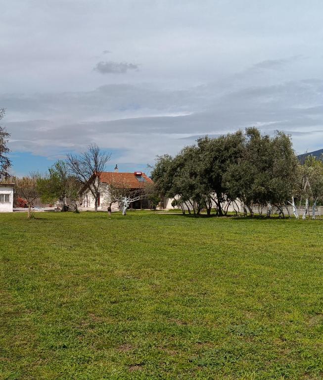 Aggelos Gardenhouse of Volos - Chambres d'hôtes Volos