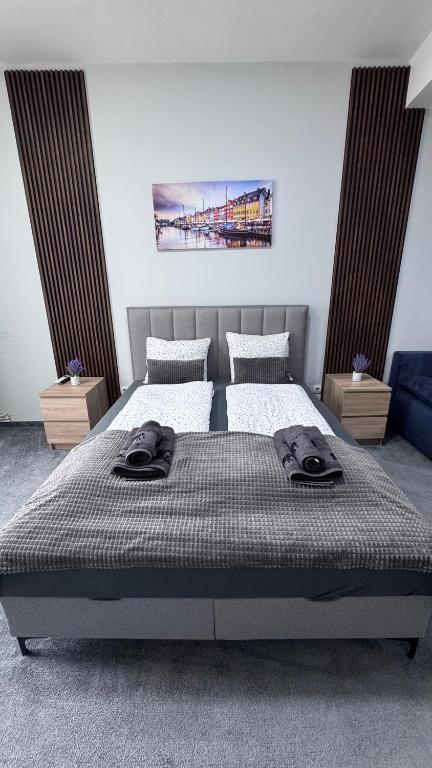 Libero apartmani - B&B Zaječar
