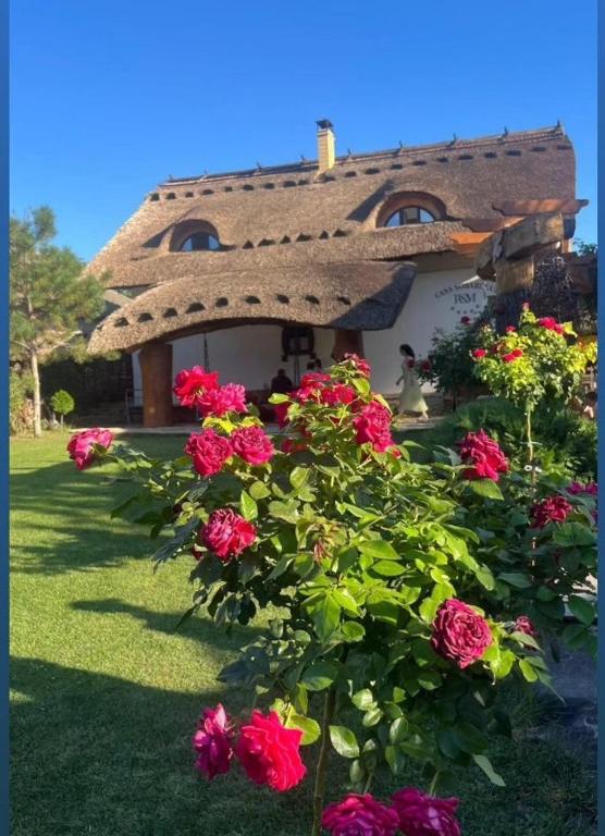 Pensiunea Casa Sobarului - B&B Molovata