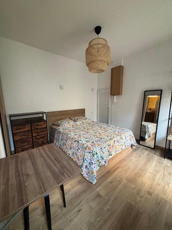 Studio Quai Claude Bernard - B&B Grenoble