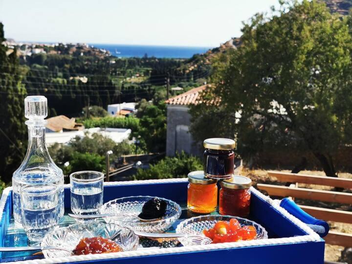 Andros Traditional Home with Sea View Terrace - Chambres d'hôtes Vrachnoú