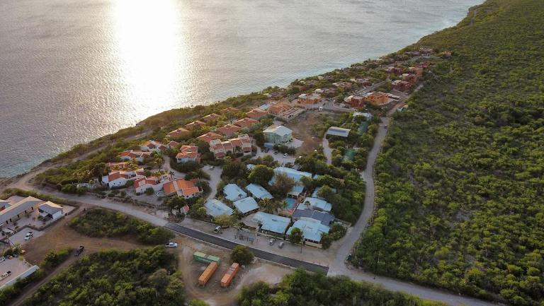 Green Sea Turtle Modern Stay by the Sea - B&B Kralendijk