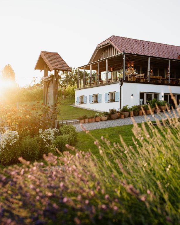 Puhan Wine Estate & Boutique Rooms - B&B Bogojina