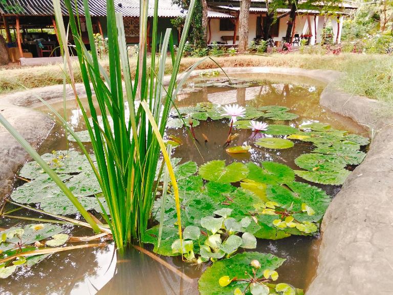 Bundala Resort - B&B Tissamaharama
