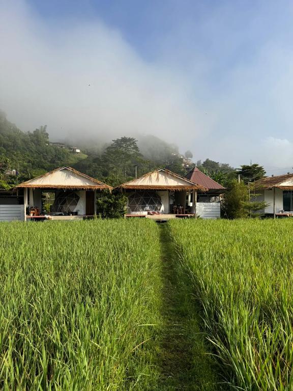 สะปันดีวิว Sapan Dee View บ่อเกลือ น่าน - Bed and Breakfast Ban Huai Ti