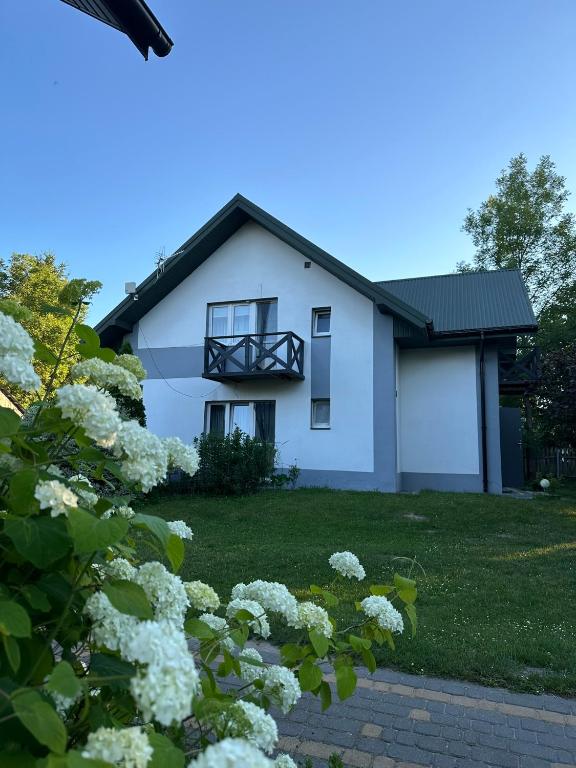 Agroturystyka Pod Lasem na Roztoczu - B&B Sochy
