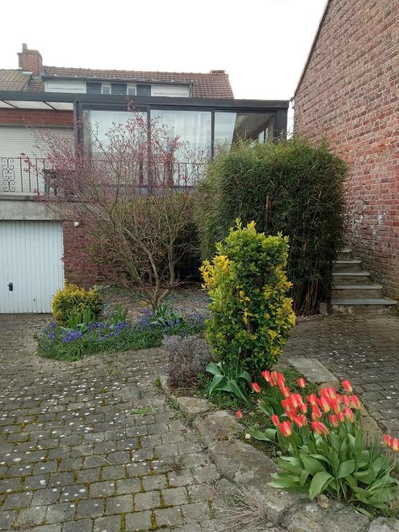 Coeur Monts de Flandre - Bed and Breakfast Meteren