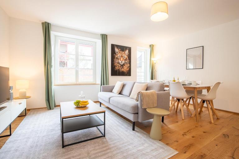 Modern Apartment in Central Basel near Rhine - Special TOP LUX 12 Apartment, up to 2 guests - Chambres d'hôtes Bâle