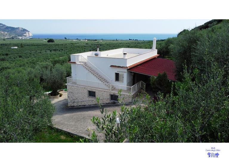 B&B Corte degli Ulivi - B&B Mattinata