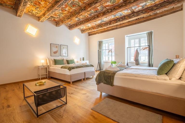 Spacious Apartment in Central Basel near Rhine - Special TOP LUX 24 Apartment, Basel, up to 8 guests - Chambres d'hôtes Bâle