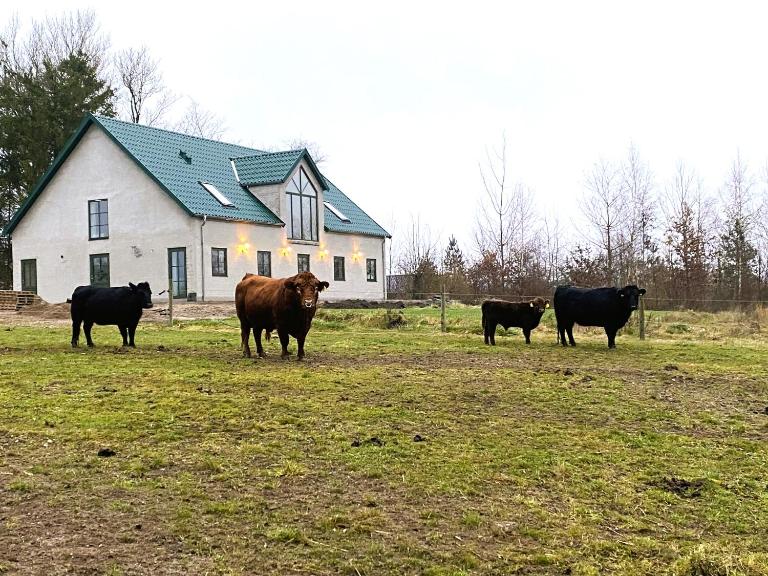 Landstedet - Bed and Breakfast Assendløse