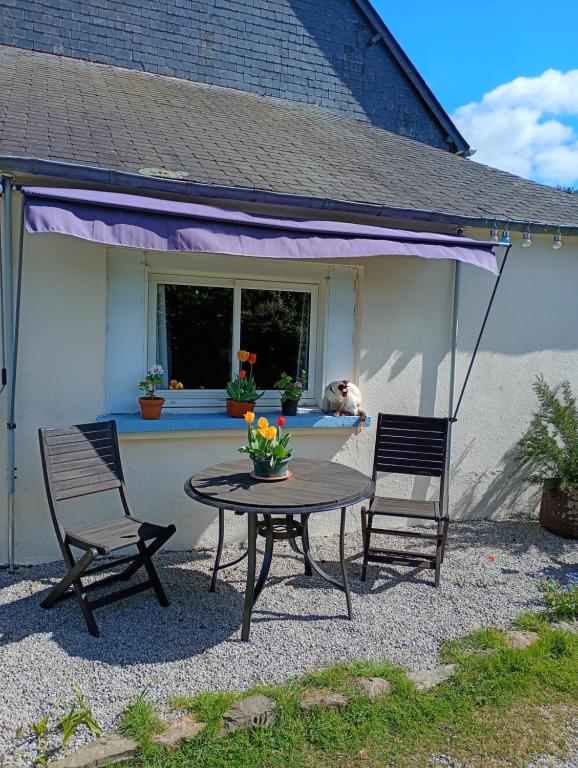 Chez Molly - B&B Glomel
