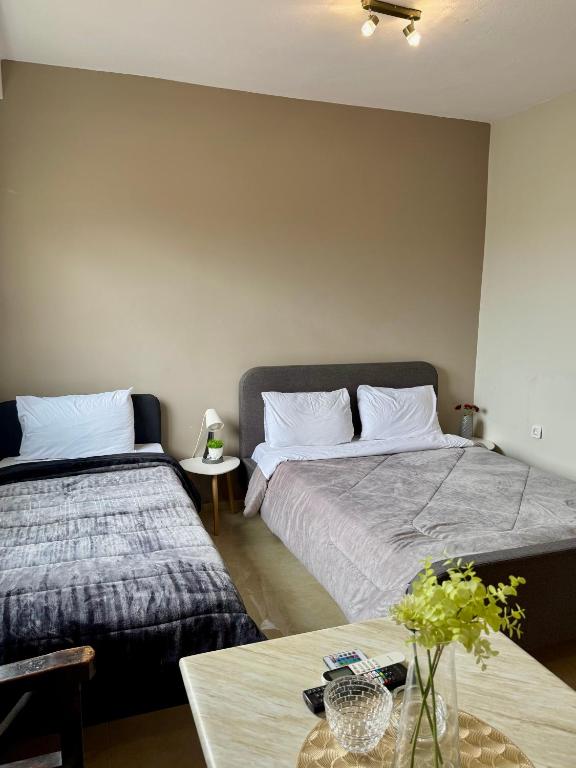 Alpha Apartments 42 - B&B Sérres
