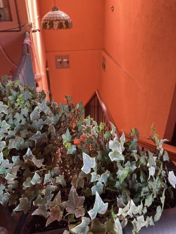 Dolce Vita - B&B Albizzate