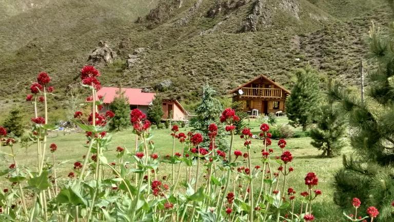 La Araucaria - B&B Potrerillos