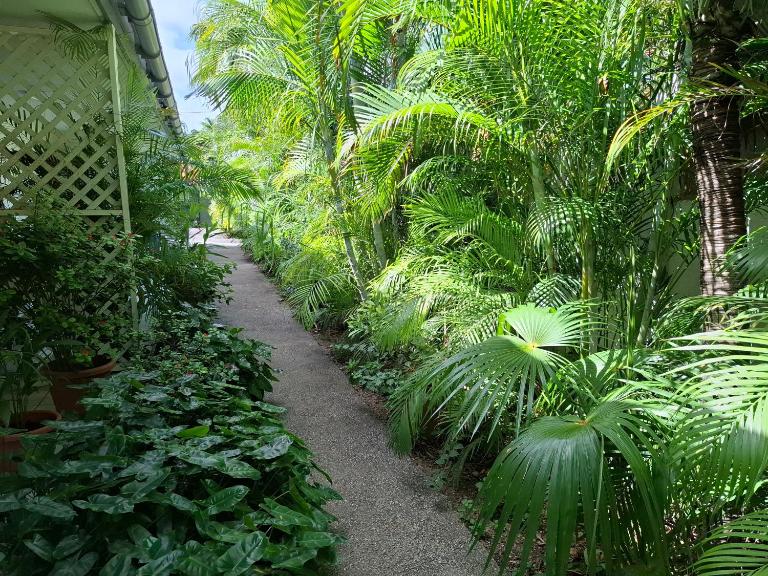 Tropical Palm Retreat - Ferienwohnung Willemstad