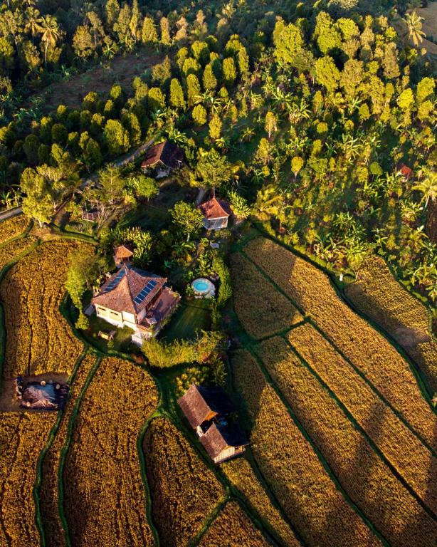 North Bali Eco Cabin Nature Retreat - B&B Gobleg