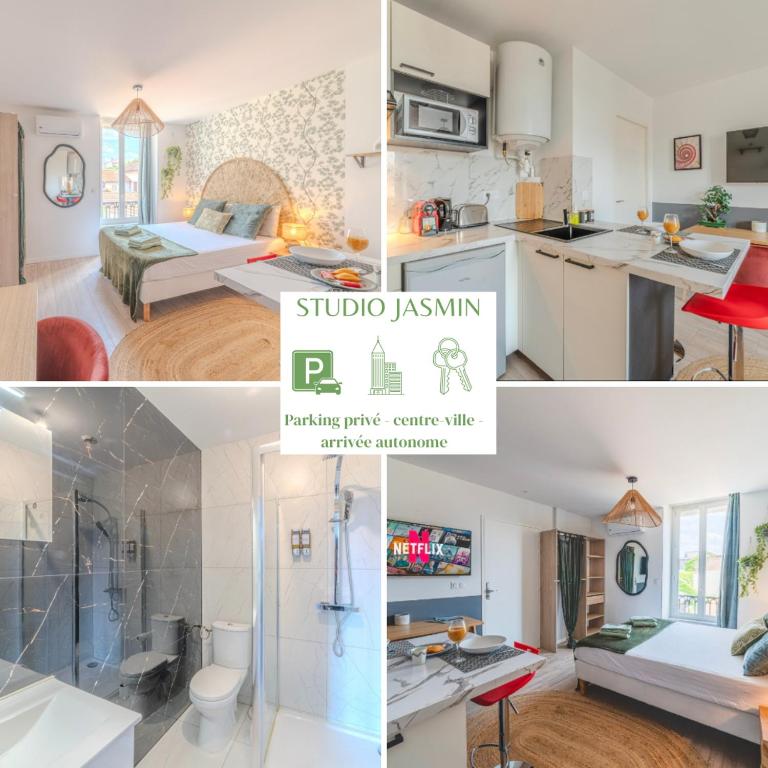 Jasmin Roanne centre-ville - Parking & Clim - B&B Roanne